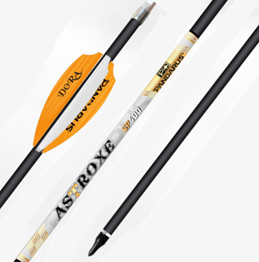 AstroXE: Strength Meets Precision