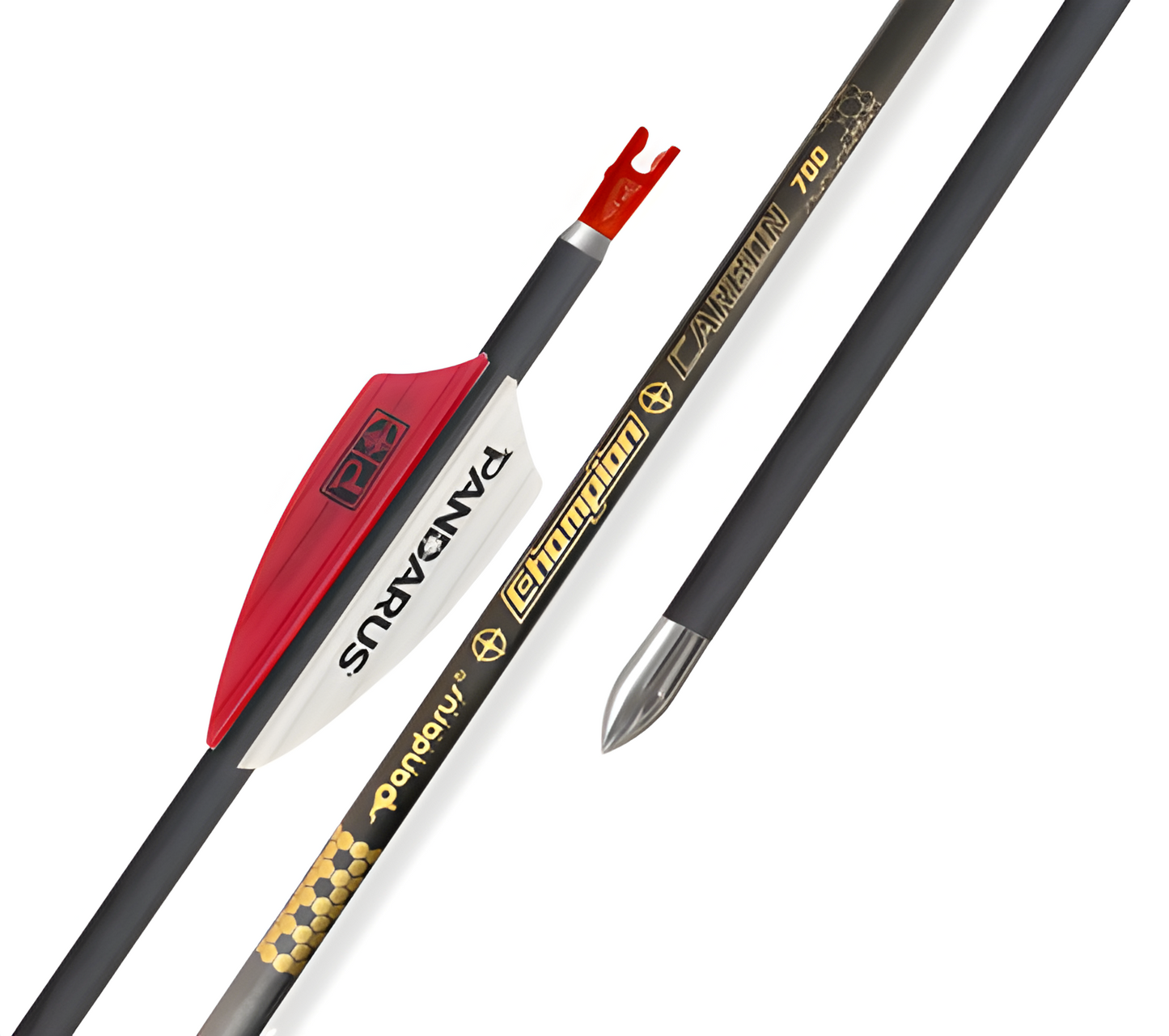 Champion: Divine Accuracy Unleashed